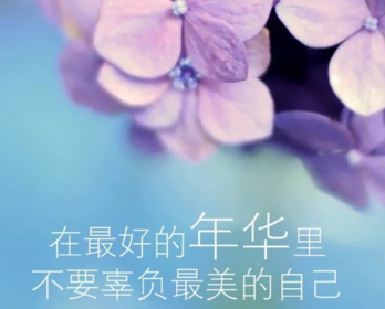 爱情表白简短的说说