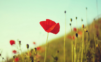 2022新年元旦给老公祝福语 新的一年里，希望所有