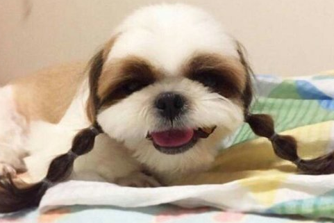 毕业六一儿童节晚会说说