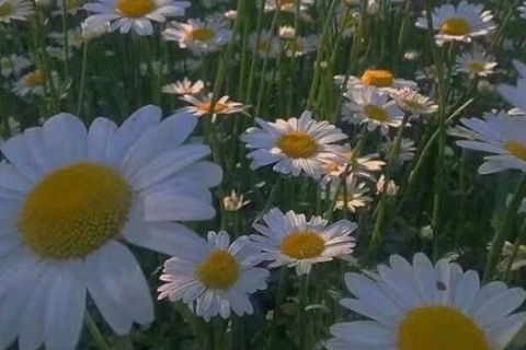六一儿童节搞笑说说