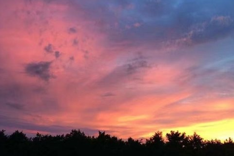 2022疫情元宵节说说