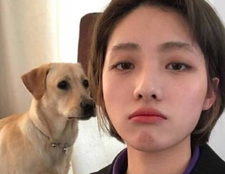 大学老师给学生们的元旦祝福语