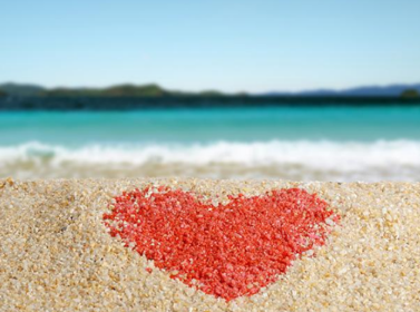 元旦给老师祝福语诗句 愿你事业顺利！