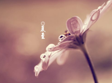 元旦写给自己的说说