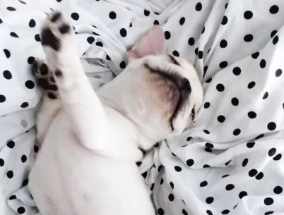 愚人节朋友圈祝福--不要留恋姐，姐卸了妆