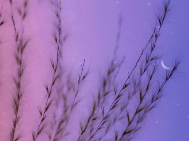 清明节同一天生日怎么发说说