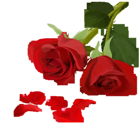 2022除夕凌晨的说说--愿你在新的一年：寻梦