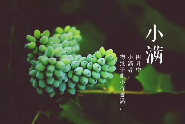 庆元旦迎新年六年级祝福语