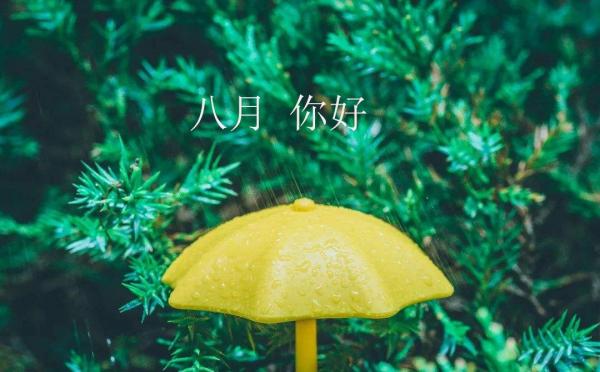 关于四月再见五月你好的句子
