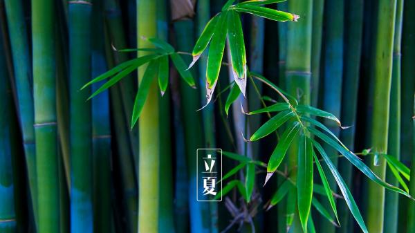 情人节恰逢结婚纪念日的说说_**结婚不是一时的热