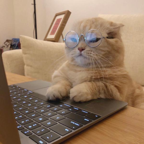 祝福朋友们小年快乐的句子_腊月二十三，小年到眼