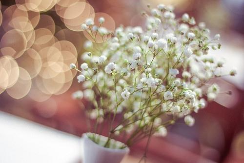 清明节执勤的搞笑说说