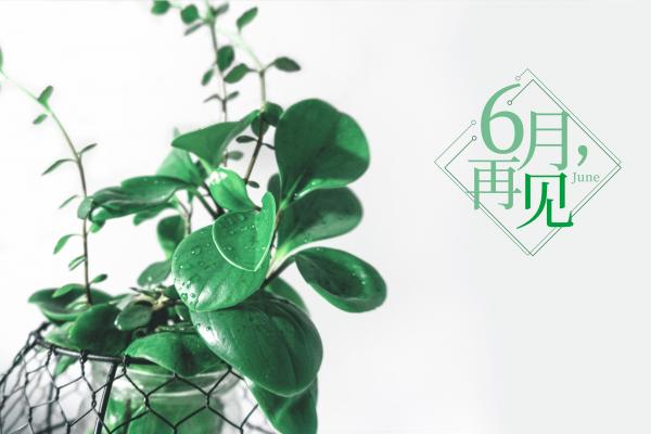 合适元宵节发朋友圈的文案 一家人过元宵节说说