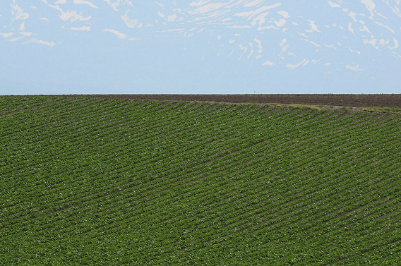 过小年适合发的说说