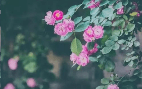 5月20日心情短语