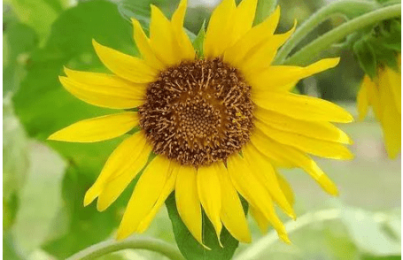 女生节祝福语骚话