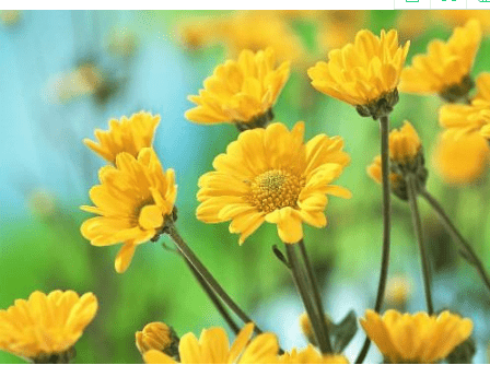 关于元宵节烟花的说说