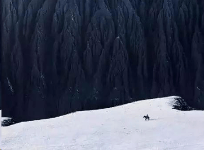 情人节朋友圈晒红包幽默说说