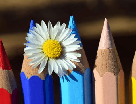 用雨水浇花的说说--谷雨节气到，雨水渐增