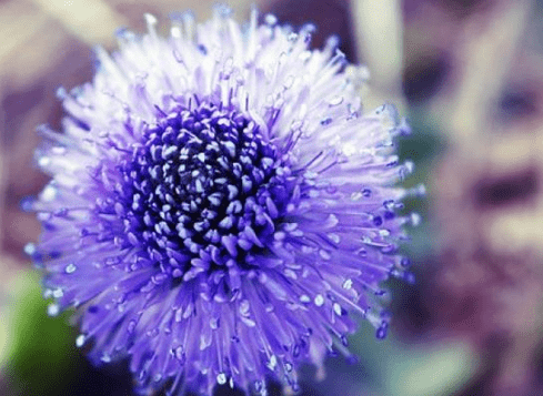 春节前理发的说说