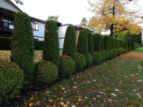 情人节的快乐祝福语简短