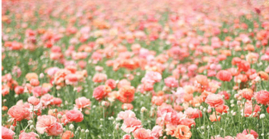 2018元旦节卡片祝福语 欢快的因子，在空气中