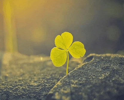 惊蛰和春分的说说--**春天总是在某一个