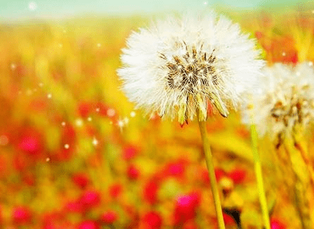 跨年表白对象的说说_爱情、最伟大又最愚蠢