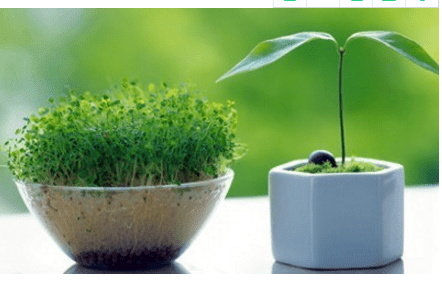 2月14号情人节订婚说说--**我们每经历一次顿