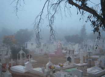 春节放烟花爆竹说说--用一对明亮的眼发现鸡