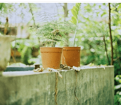 元宵节祝福语英文