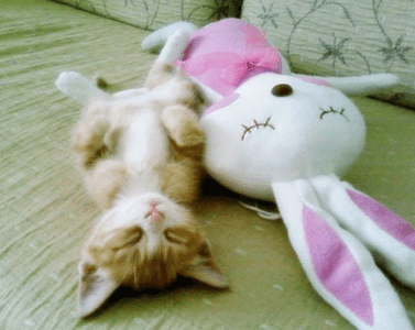 关于情感的唯美qq说说大全