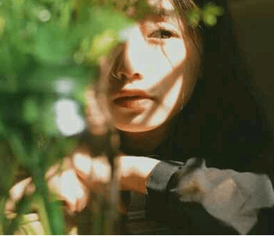 不能出门的春节说说_向你拜大年!祝你身体