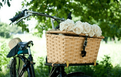 五月二十号情人节祝福语简短_**五月，充满生命的