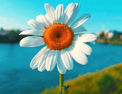 新年元旦好的祝福语2022年