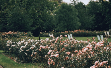 愚人节的抖音说说