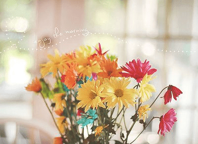 和同事小年团圆饭说说