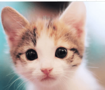 祝自己六一儿童节快乐的说说