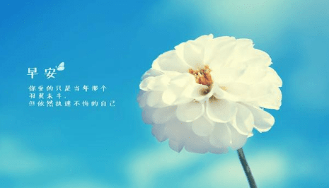 锥心刺骨的伤感语录