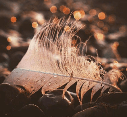 复活节祝福短语、**复活节的文章，不