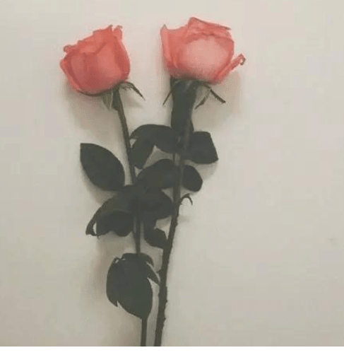 情人节一个人怎么过 搞笑说说、我会爱你很久很久，和