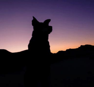 立春喝茶的说说