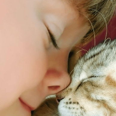 清明节发客户祝福语--“清明前后，种瓜点豆