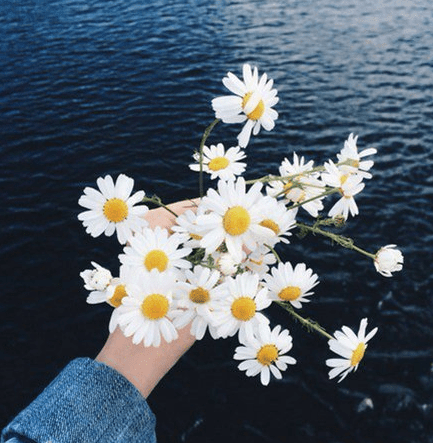 元宵节 姐妹 说说 送你一个汤圆，平安的