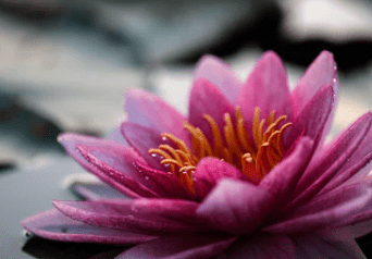 元旦结婚遇到下雪的祝福语