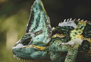 情人节求约的搞笑说说 5+2+0=愿你做七