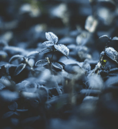 元旦晒红包到朋友圈说说