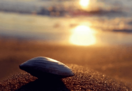 适合元宵节发的说说短--载歌载舞闹元宵，映日