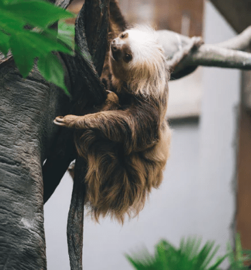 女生节祝福话语古文、**见到女孩子们自信