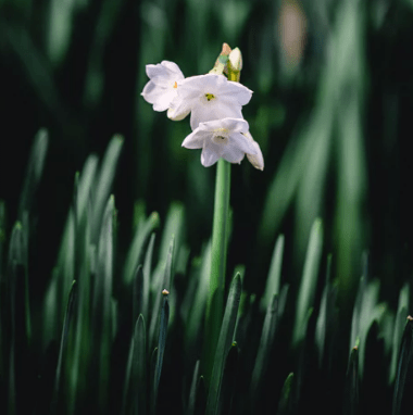 腊八节遇大寒祝福语大全简短